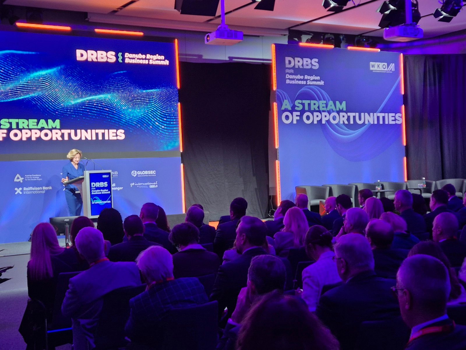 A speaker addressing the audience at the Danube Region Business Summit in Vienna
